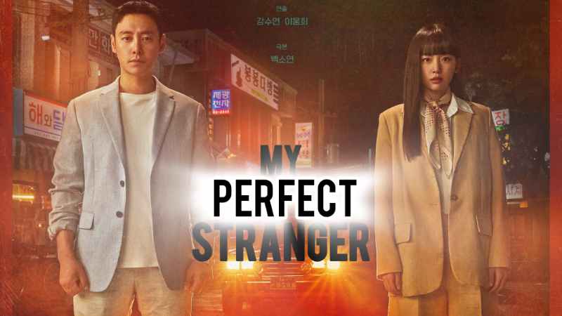 My Perfect Stranger - Vj Raj